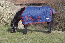 Turnout rug 4ft for sale  BOSTON