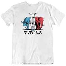Usado, Camiseta Jesus, God My Hope Is In The Lamb, Christ Christian presente nova comprar usado  Enviando para Brazil