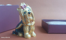 Yorkshire terrier cucciolo usato  Oggiono