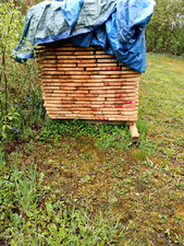 Schalungs bretter zöllig gebraucht kaufen Schalungs bretter zöllig gebraucht kaufen  Saalfeld/Saale