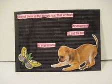 Text animals aceo for sale  Lewisburg