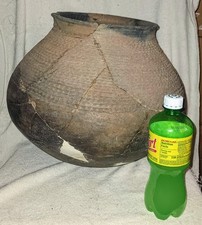 Wonderful large prehistoric for sale  Glendale