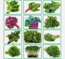 Bangladeshi indian leafy for sale  LONDON