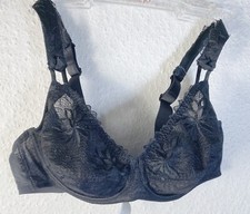 Rosa faia beautyful gebraucht kaufen  Hückelhoven