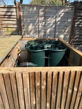 Koi carp cl3 for sale  STAINES-UPON-THAMES