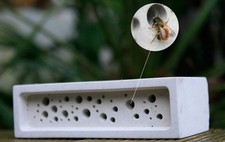White bee brick for sale  PLYMOUTH