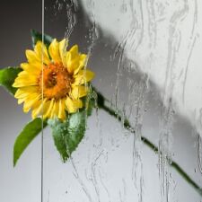 Ersatzglas grablaterne grablic gebraucht kaufen Ersatzglas grablaterne grablic gebraucht kaufen  Nörvenich