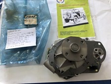 Pompa acqua renault usato  Palermo