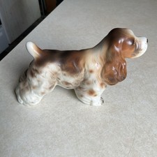 brown cocker spaniel for sale brown cocker spaniel for sale Manawa