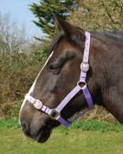 Rhinegold nylon headcollar for sale  CHICHESTER