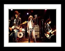 Ramones nyc photo for sale  PRESTON