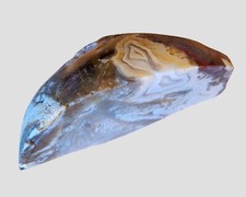 Fairburn agate rock for sale  Edgemont