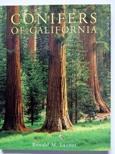 Conifers california for sale  Hillsboro