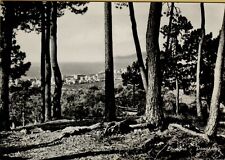 19803 lavagna vecchia usato  Oliveto Lario