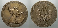 Medaglia san francesco usato  Sermide e Felonica