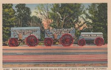 Postcard borax twenty for sale  Fife Lake