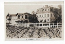 Pauillac chateau pontet d'occasion  Expédié en Belgium
