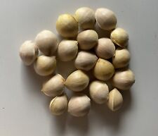 Graines ginkgo biloba d'occasion  Riedisheim