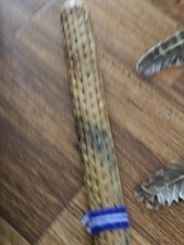 Rainstick cactus musical for sale  West Des Moines
