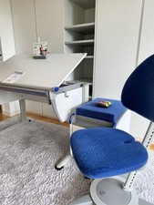 Moll schreibtisch set gebraucht kaufen  Oberursel (Taunus)