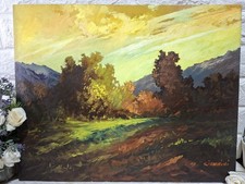 Vintage quadro olio usato  Castell Alfero