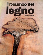 76104 romanzo del usato  San Benedetto del Tronto