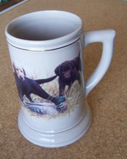 Labrador retriever puppies for sale  Parker