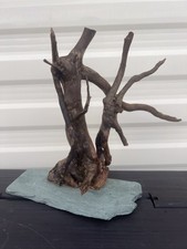 Slate aquarium bogwood for sale  BOLTON
