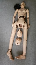 Vintage nasco lifeform for sale  SHEFFIELD