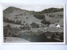 Ansichtskarte falken hörmoos gebraucht kaufen  Eggenstein-Leopoldshafen