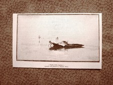 Figlia della laguna usato  Villarosa