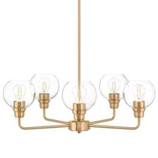 Florabelle light chandelier for sale  Hickory