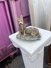 K.sherwin small wolf for sale  LINCOLN