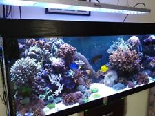 Led aquarienlampen meerwasser gebraucht kaufen  Diepenau