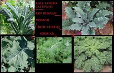 Combo kale 100 for sale  Baltimore