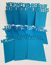 Baby photo banner for sale  WELLINGTON