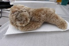 Steiff floppy raudi gebraucht kaufen  Glinde