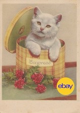 Postkarte katze express gebraucht kaufen  Menden (Sauerland)