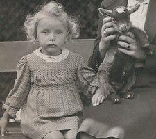 331 foto format gebraucht kaufen  Prösen
