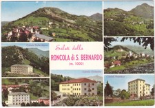 Roncola bernardo bergamo usato  Isola Vicentina