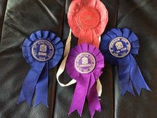 Vintage equestrian horse for sale  GLASGOW