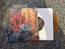 Rival sons record for sale  DUKINFIELD
