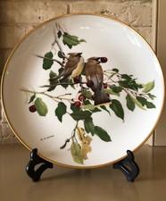 Beautiful cedar waxwing for sale  Norwich