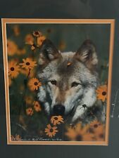 Wolf photograph wild for sale  Denver