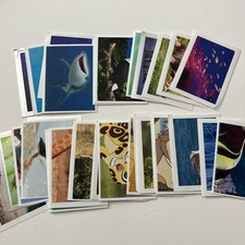Rewe sticker sammelbilder gebraucht kaufen  Ammerbuch