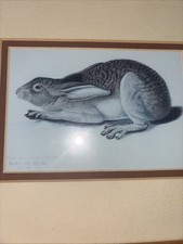 James audubon black for sale  Milwaukee