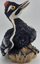 Boehm fledging pileated for sale  Arnold