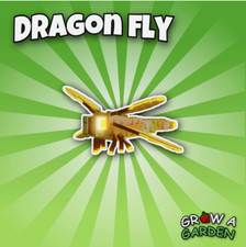 Dragon fly grow for sale  PETERBOROUGH