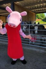 Hire peppa costume for sale  ELLESMERE PORT
