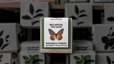 Bad apples monarch for sale  Brighton